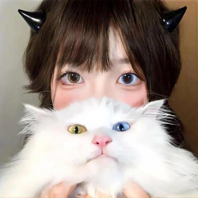 黑狐：希特勒